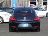 VOLKSWAGEN THE BEETLE
