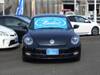 VOLKSWAGEN THE BEETLE