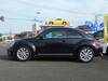 VOLKSWAGEN THE BEETLE