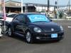 VOLKSWAGEN THE BEETLE