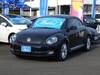 VOLKSWAGEN THE BEETLE