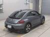 VOLKSWAGEN THE BEETLE
