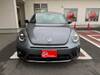 VOLKSWAGEN THE BEETLE