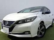 2019 NISSAN LEAF G