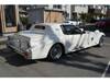 MITSUOKA OTHER