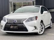 2010 LEXUS HS