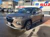 SUZUKI OTHER
