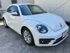 VOLKSWAGEN THE BEETLE
