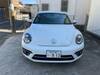 VOLKSWAGEN THE BEETLE