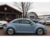 VOLKSWAGEN THE BEETLE