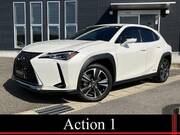 2019 LEXUS UX