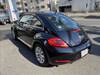 VOLKSWAGEN THE BEETLE