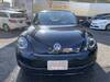 VOLKSWAGEN THE BEETLE