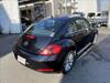 VOLKSWAGEN THE BEETLE