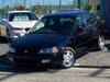 HONDA TORNEO
