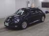 VOLKSWAGEN THE BEETLE