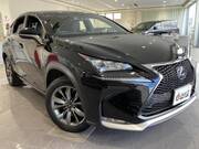 2017 LEXUS NX