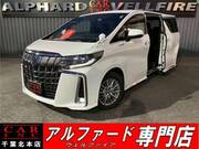 2021 TOYOTA ALPHARD HYBRID