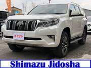 2023 TOYOTA LAND CRUISER PRADO