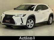 2019 LEXUS UX