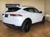 JAGUAR OTHER