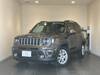 CHRYSLER JEEP RENEGADE