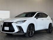 2021 LEXUS NX