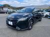 NISSAN OTHER