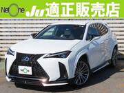2019 LEXUS UX