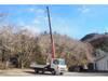 HINO POWDER CEMENT TRUCK
