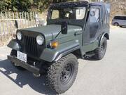 1991 MITSUBISHI JEEP
