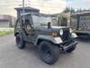 MITSUBISHI JEEP