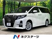 2017 TOYOTA ALPHARD 2.5S