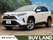2019 TOYOTA RAV4 G