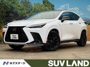 2022 LEXUS NX