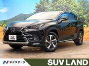 2018 LEXUS NX