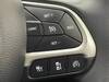 CHRYSLER JEEP COMPASS