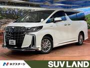 2019 TOYOTA ALPHARD HYBRID
