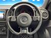 VOLKSWAGEN THE BEETLE