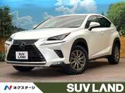 2019 LEXUS NX