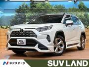 2020 TOYOTA RAV4 G