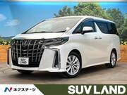2019 TOYOTA ALPHARD 2.5S