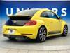VOLKSWAGEN THE BEETLE