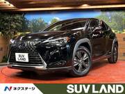 2019 LEXUS UX