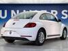 VOLKSWAGEN THE BEETLE