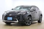 2019 LEXUS UX