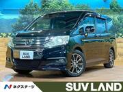 2010 HONDA OTHER