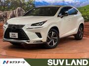 2021 LEXUS NX
