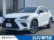 2018 LEXUS NX