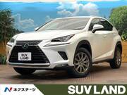 2018 LEXUS NX